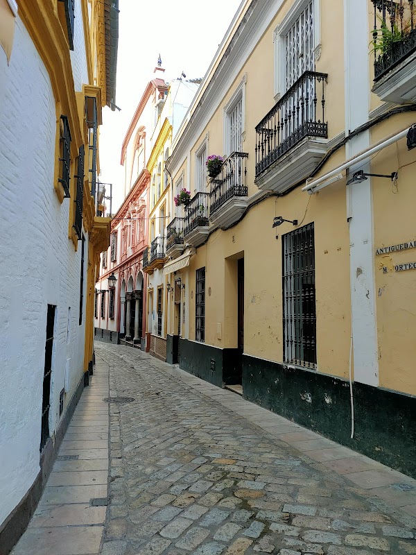 Barrio de Santa Cruz