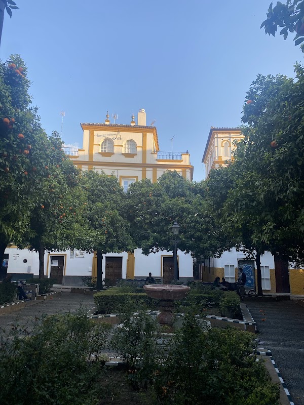 Barrio de Santa Cruz 3