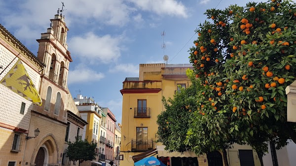 Barrio de Santa Cruz 2