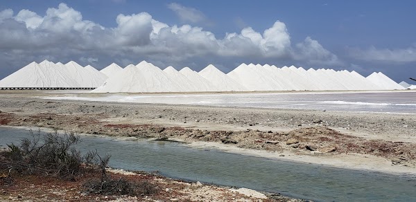 Solar Salt Works of Bonaire 1