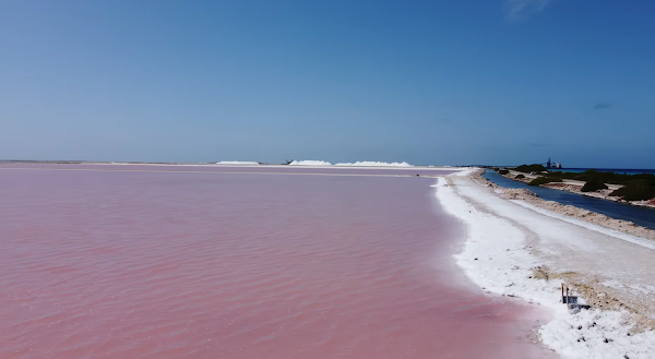 Solar Salt Works of Bonaire 5