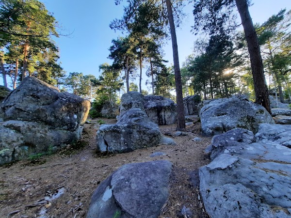 Forêt de Fontainebleau