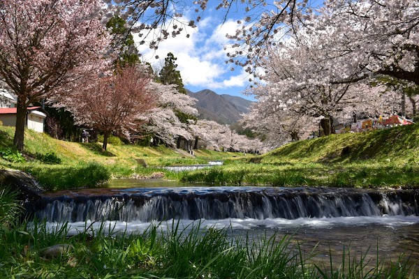 観音寺本殿