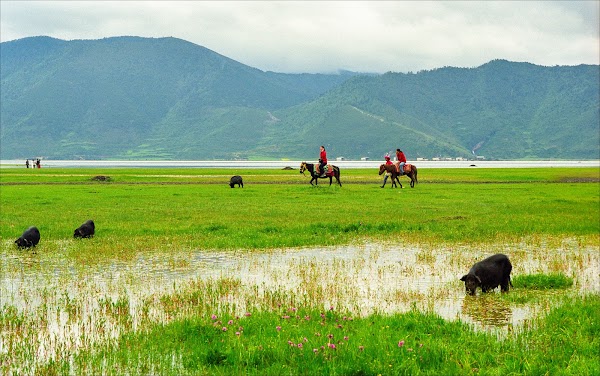 Yila Grassland of Napa Lake 5