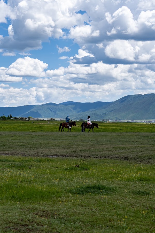 Yila Grassland of Napa Lake 4