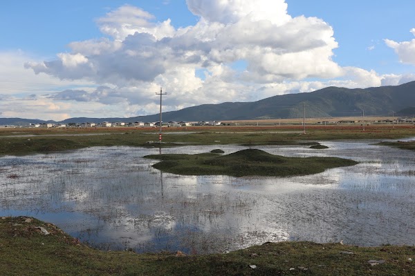Yila Grassland of Napa Lake 3