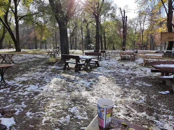 Šumski bar Zvezdarska suma 4