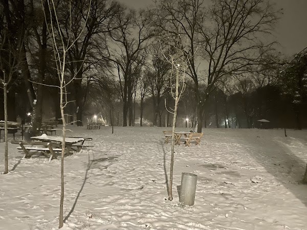 Šumski bar Zvezdarska suma 3