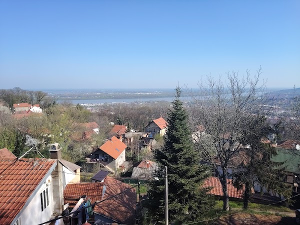 Šumski bar Zvezdarska suma 2