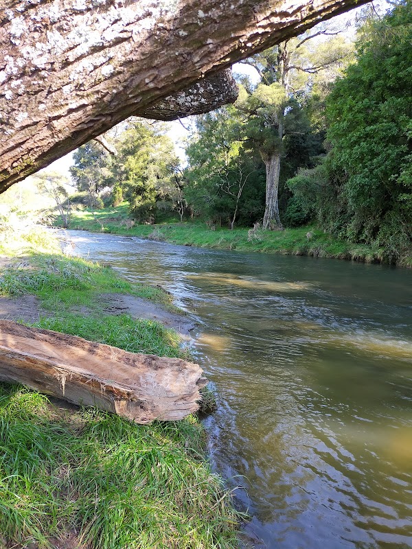 Rere Rock Slide Waterfall 2