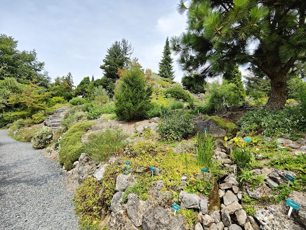 Utrecht Botanic Gardens 4