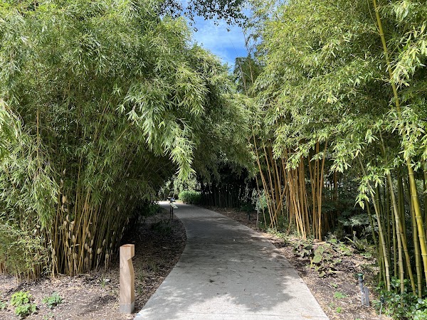Utrecht Botanic Gardens 2
