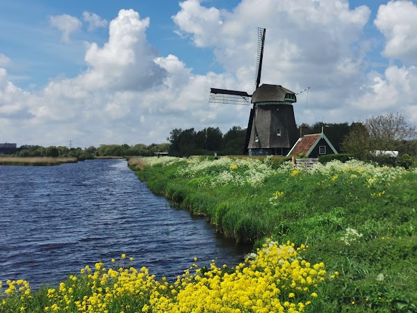 Twiskemolen 1