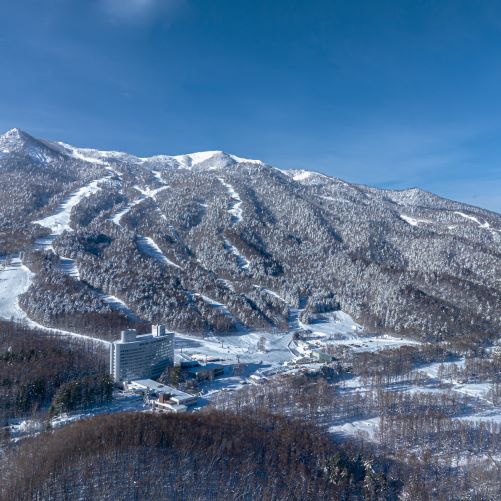 New Furano Prince Hotel 3