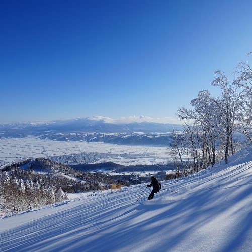 New Furano Prince Hotel 2
