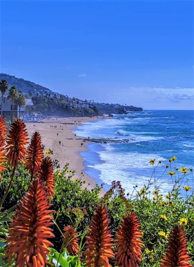 Laguna Beach 1