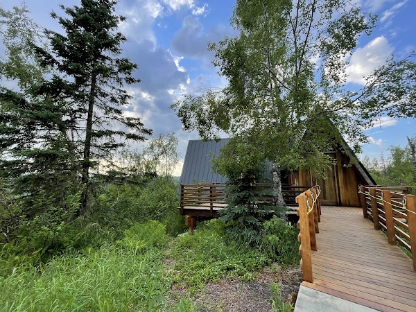 McKinley lodge treehouse 1