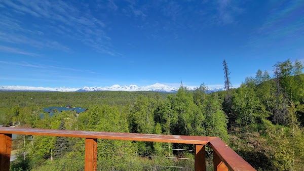 McKinley lodge treehouse 3