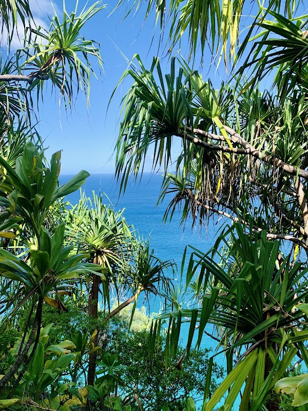 Hanakoa Falls Trail Head 4