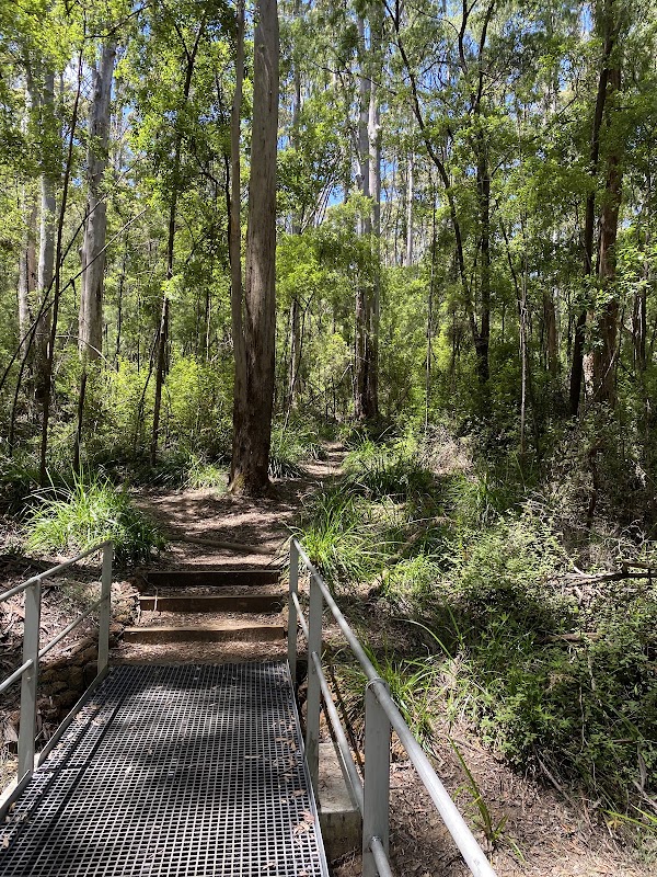 Harewood Forest Walk Trail 1