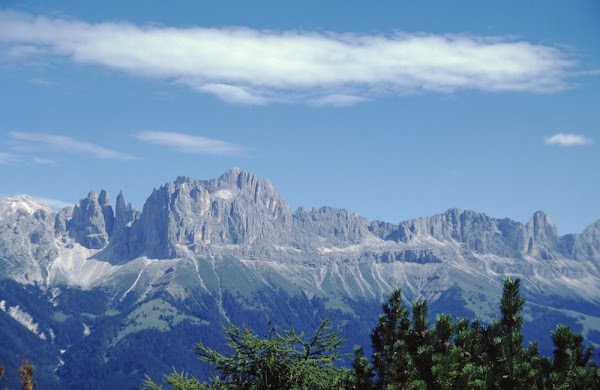 Rosengarten group