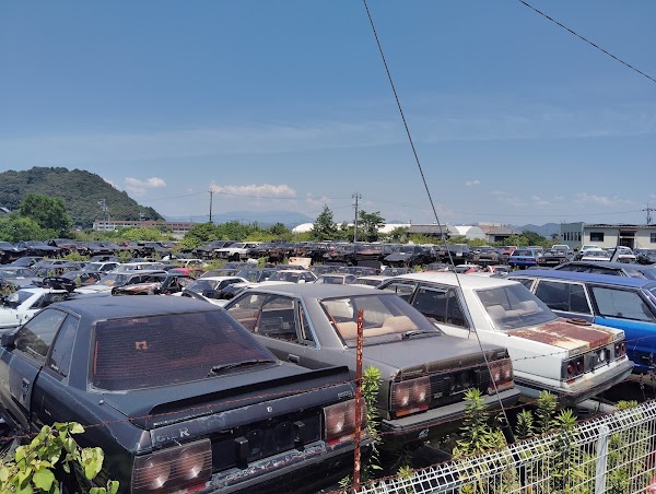 R31 HOUSE
