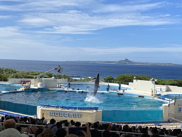 Okichan Theatre