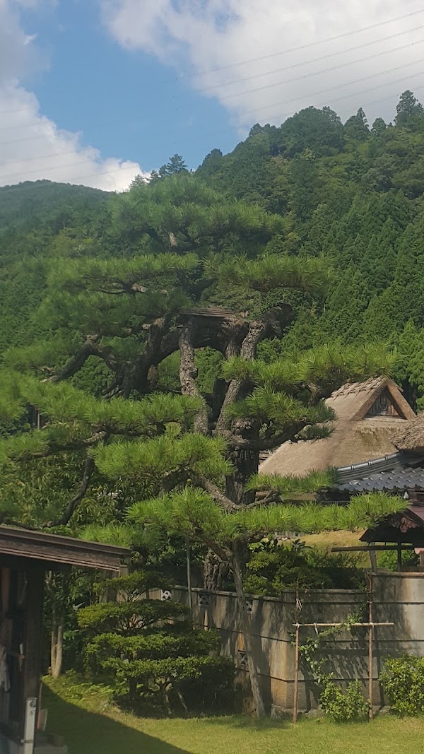 Miyama 4