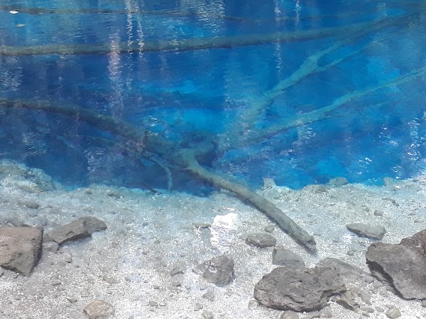 Lake Kaco 4
