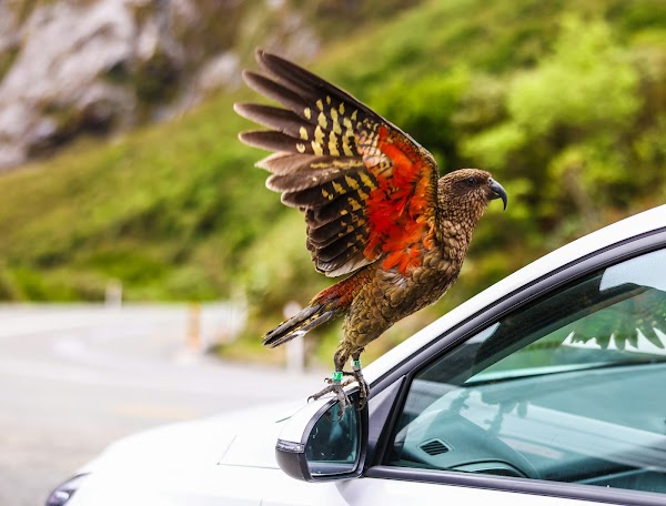 Homer Tunnel 2