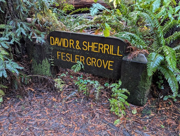 Simpson Reed Trail 2