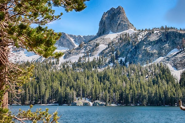 California 28