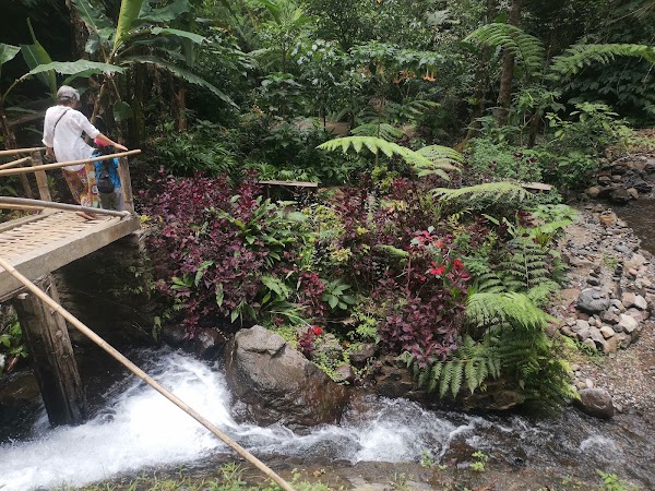 Red Coral Munduk Waterfall 3