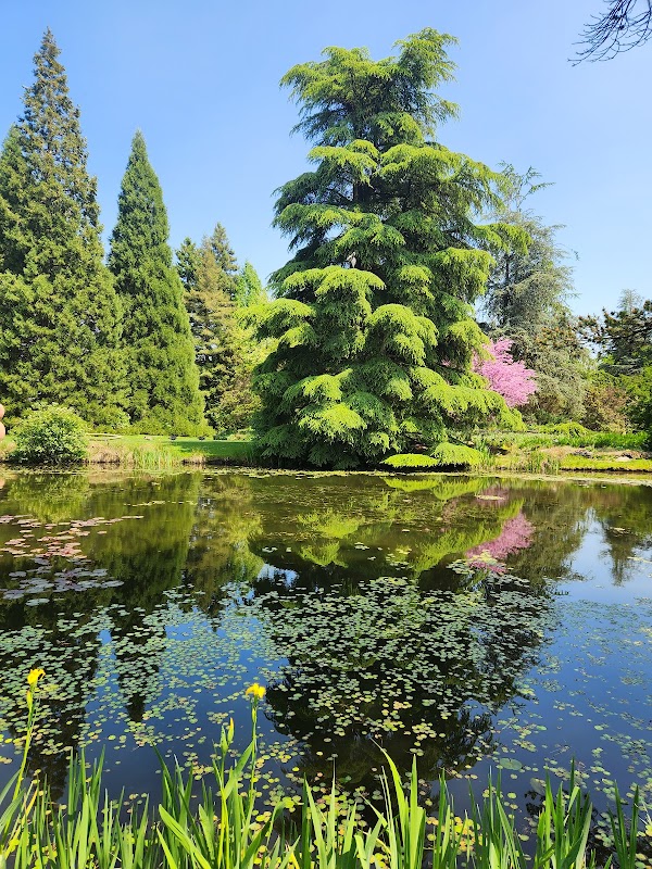 VanDusen Botanical Garden 4