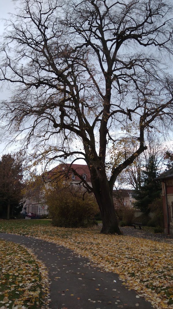 Parc Jaquet 4