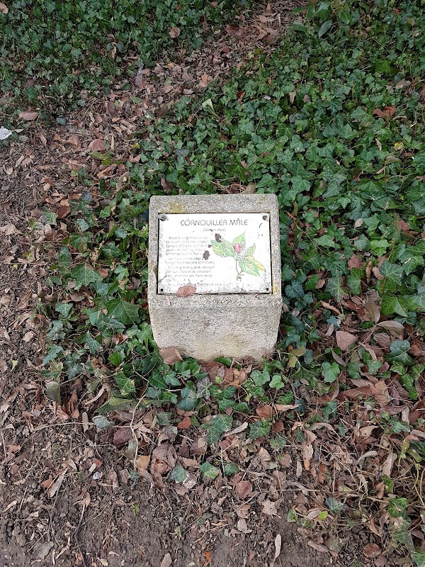 Parc Jaquet 2