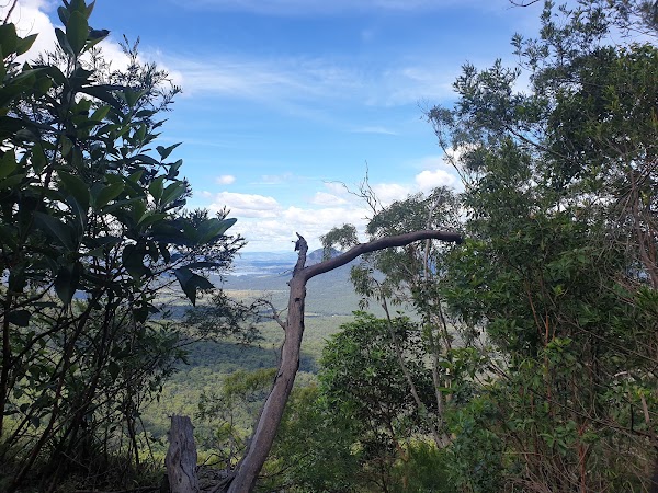Governors Chair Lookout 4