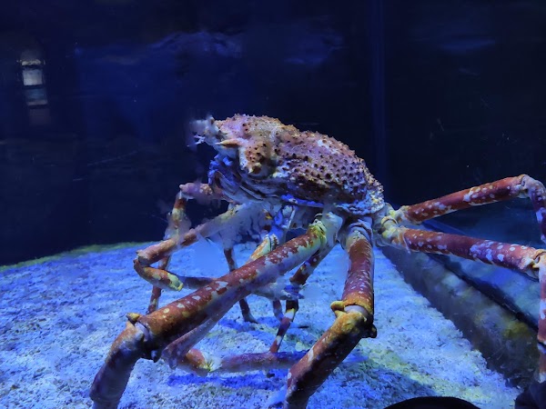 Underwater World Langkawi 4