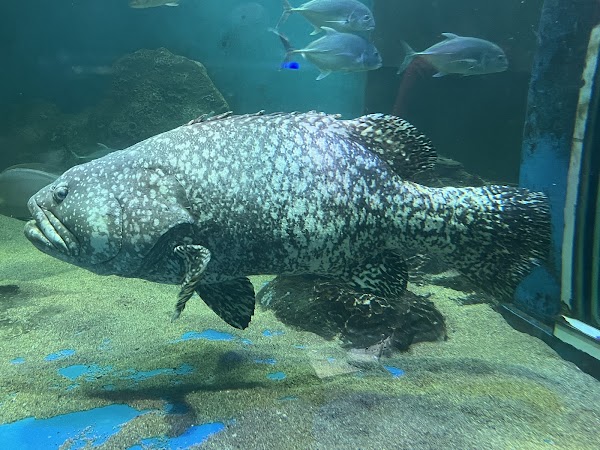 Underwater World Langkawi 2