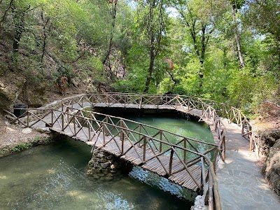 Butterflies Valley
