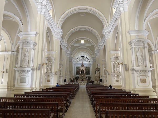 Cathedral-Basilica of the Assumption of the Blessed Virgin Mary 5