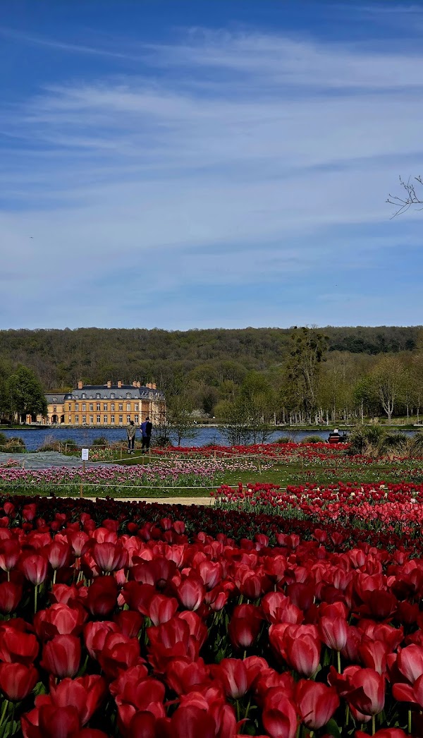 Chateau de Dampierre-en-Yvelines 2