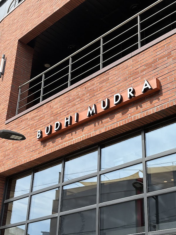 Budhi Mudra