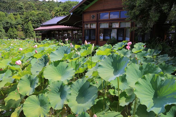 Taumi Eco-Village