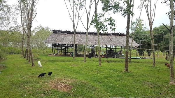 Ko Klang 3