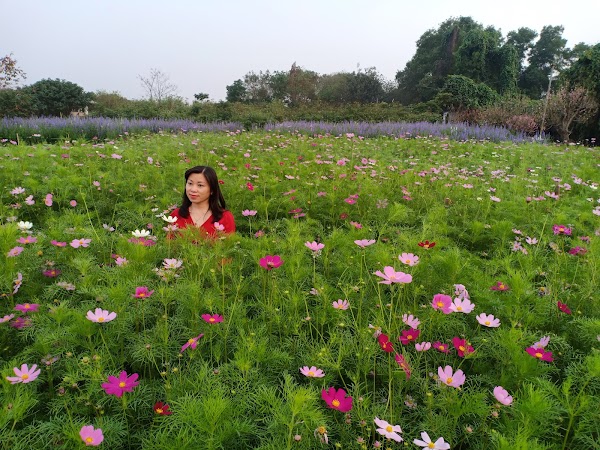 Bãi Đá Sông Hồng 1