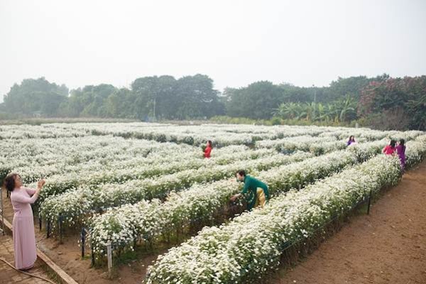 Bãi Đá Sông Hồng 5