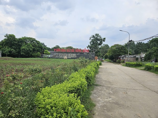 Bãi Đá Sông Hồng 4