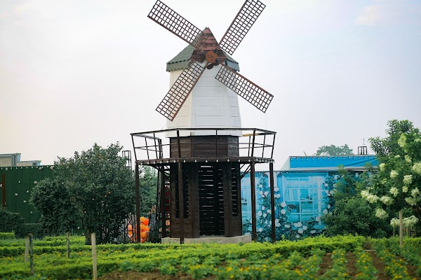 Bãi Đá Sông Hồng 3