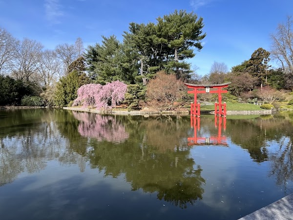 Brooklyn Botanic Garden 6